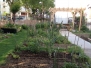 2017 - Jardin - Photos
